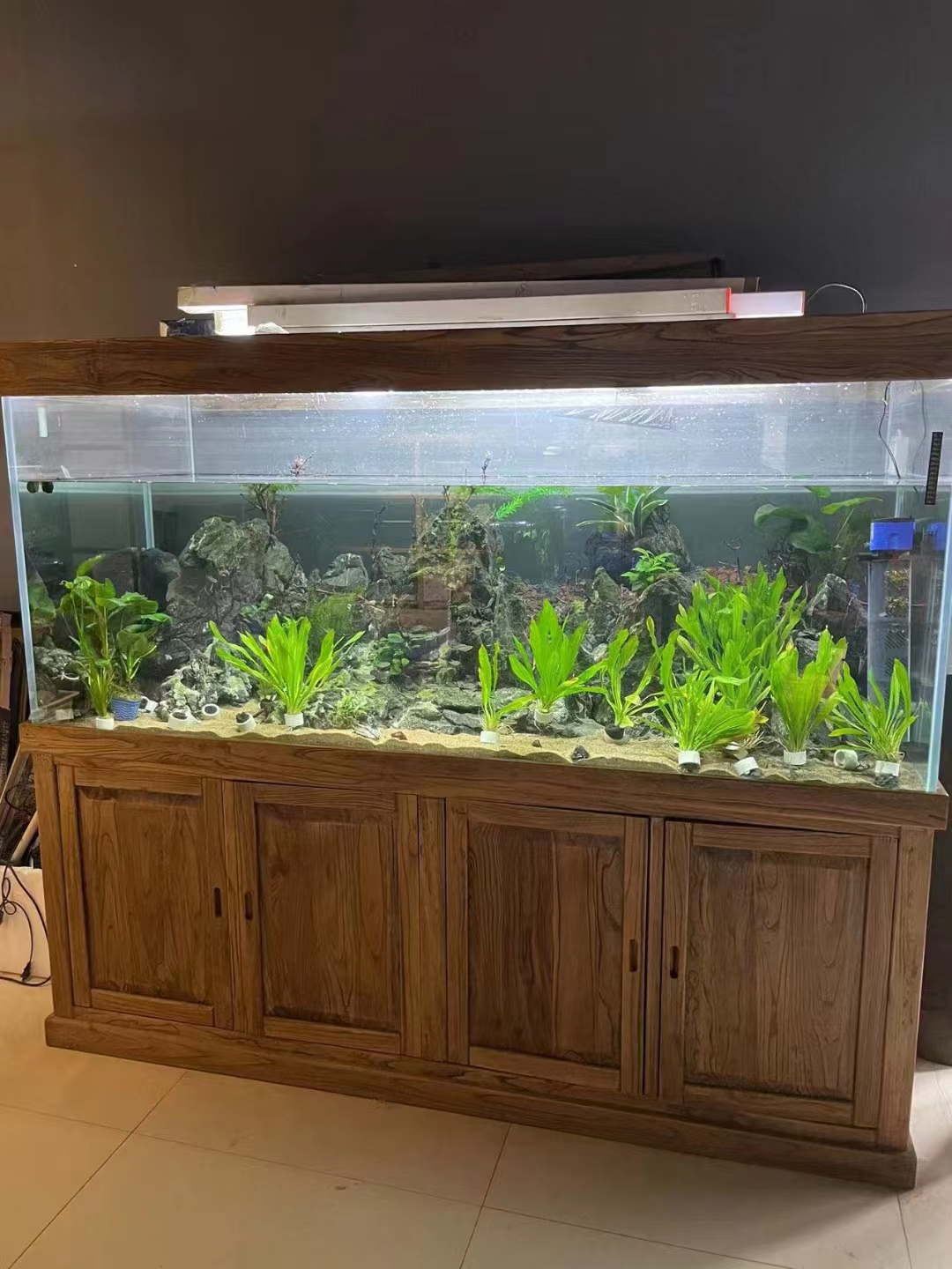 水族过滤