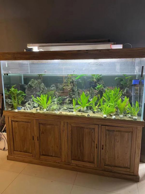 水族过滤